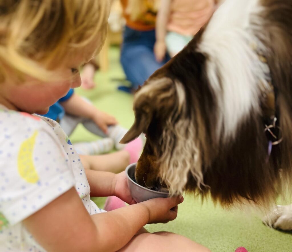 dziewczynka karmi psa